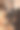 在一座古老的房子里举行婚礼图片下载