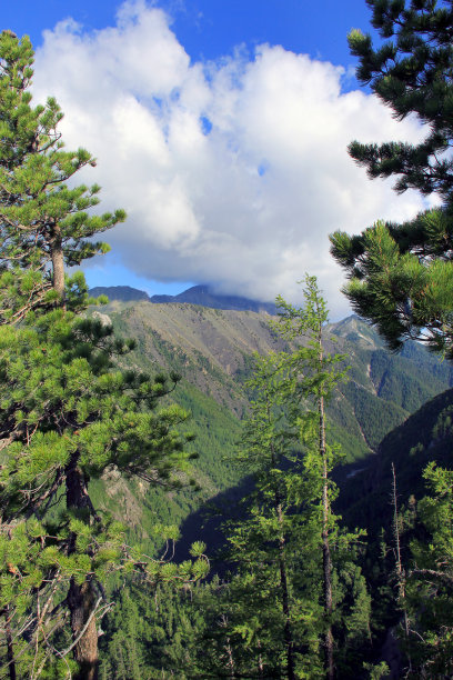 登与云图片下载
