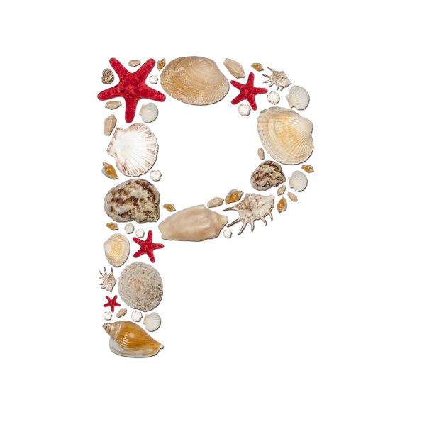 正上方白色背景的圣诞装饰照片图片下载