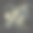 冲浪的手写字t恤图片下载
