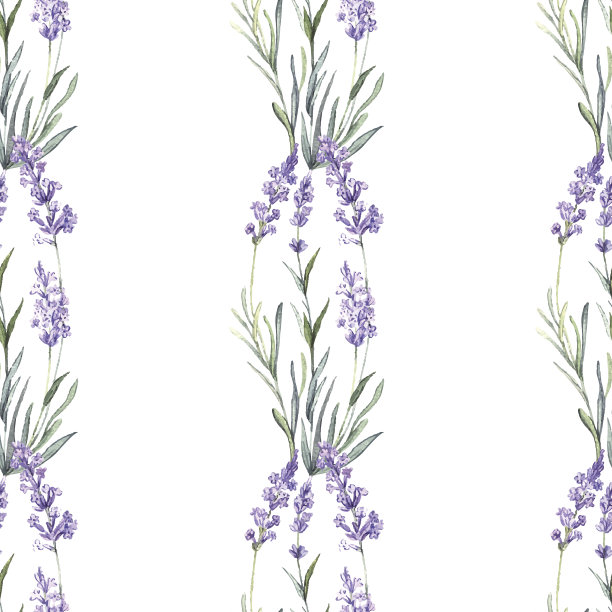 水彩花薰衣草无缝图片下载