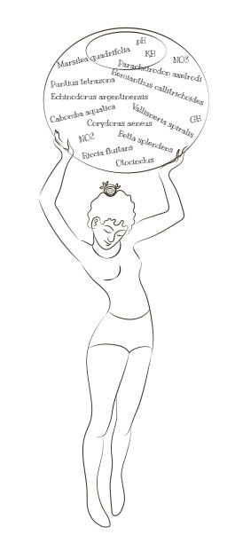 暗示女孩与水族馆图片下载