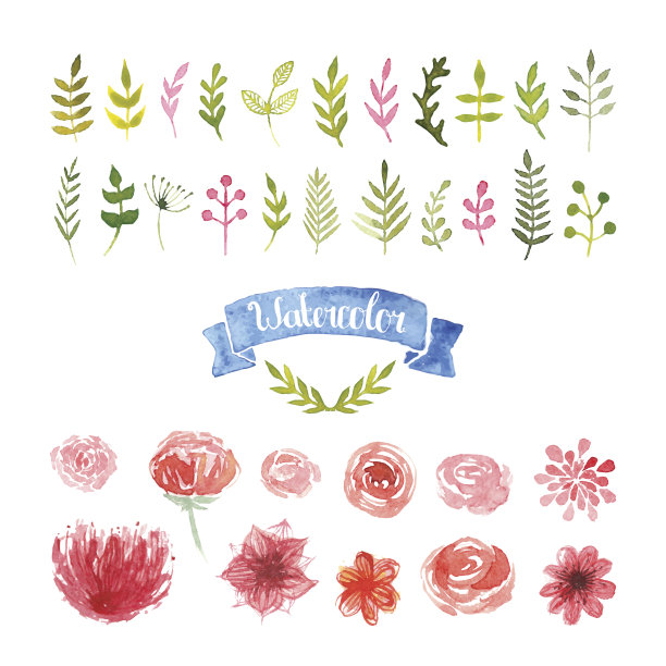 水彩画花，月桂和叶子图片下载
