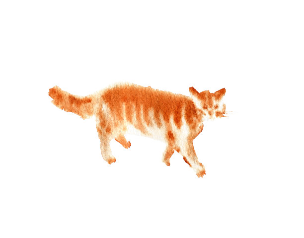 水彩的猫图片下载