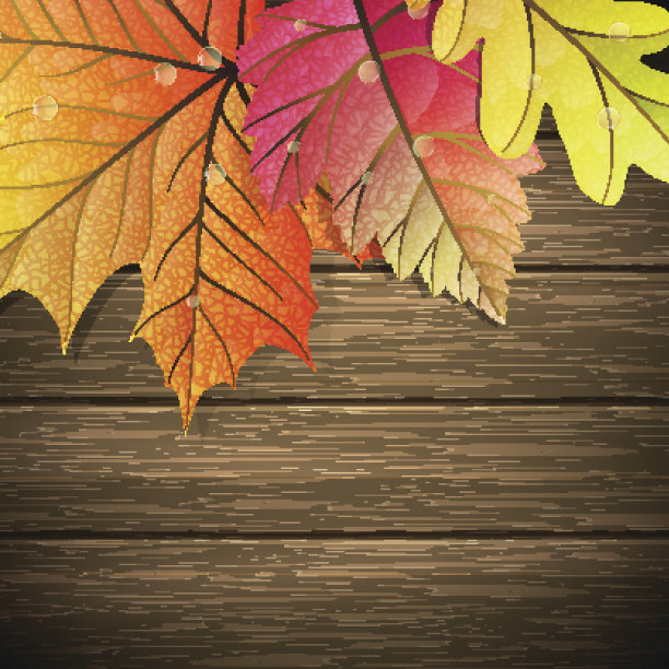 秋叶在木制的背景上。每股收益10图片下载