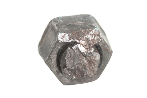 小狼籍的螺母图片下载