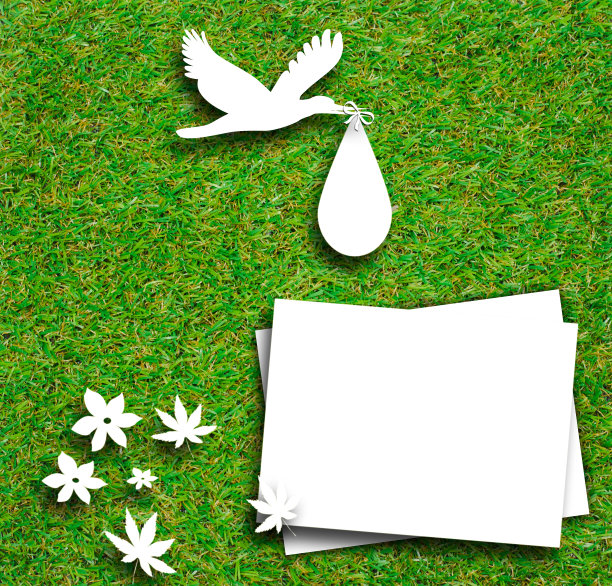 白皮书理念概念绿草图片下载