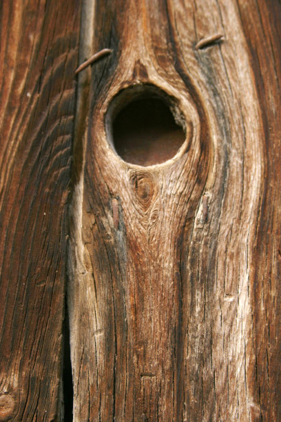 木制背景图片下载