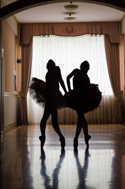 在大厅里剪影芭蕾舞者图片下载