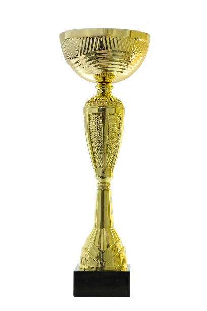 金杯赛冠军。图片下载