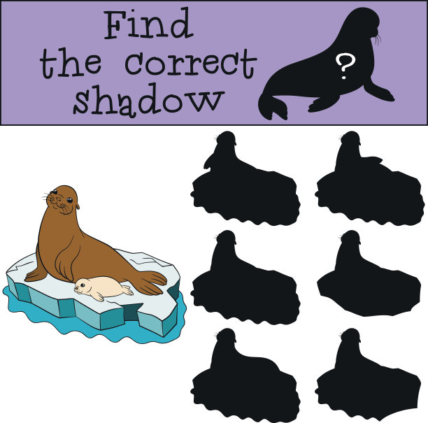 教育游戏:找到正确的影子。海豹妈妈和海豹宝宝。图片下载