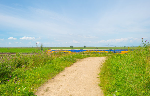夏天，火车穿越大自然图片下载