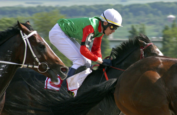 骑师。图片下载