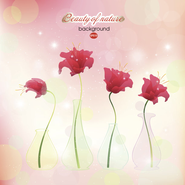 抽象的红色盛开的花在花瓶图片下载