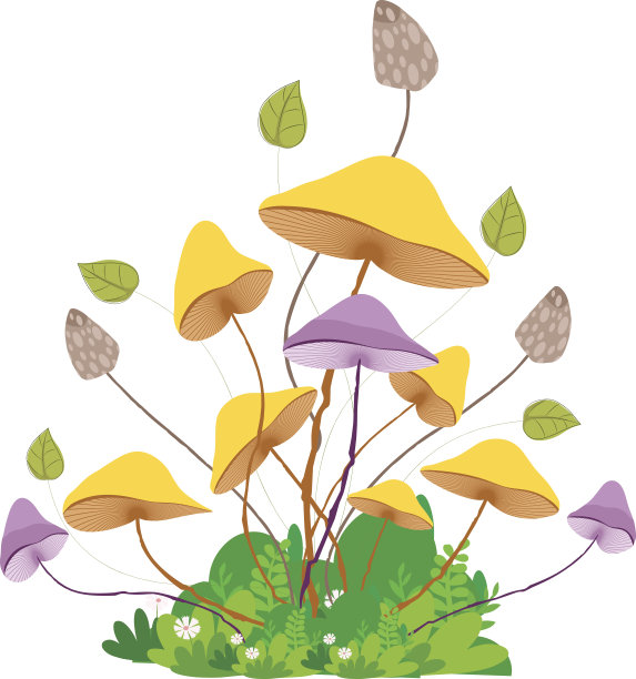 白色背景上有草的蘑菇图片下载