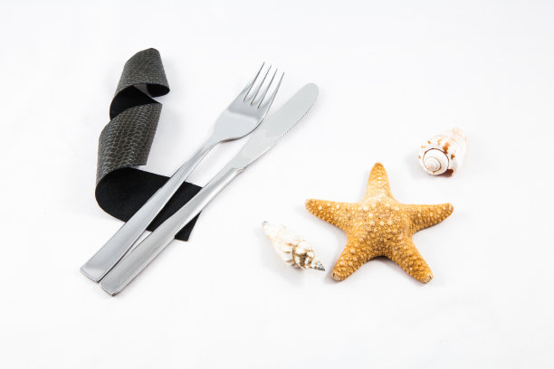 静物餐具和贝壳图片下载