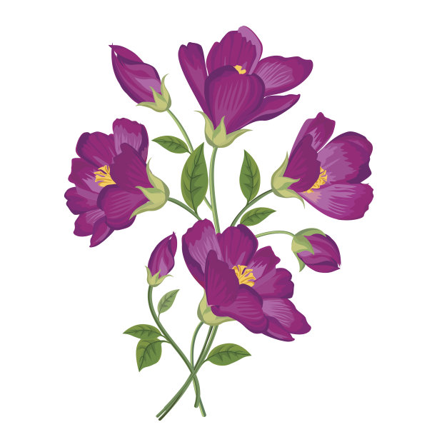 鲜花花束孤立。花的框架。繁荣贺卡图片下载