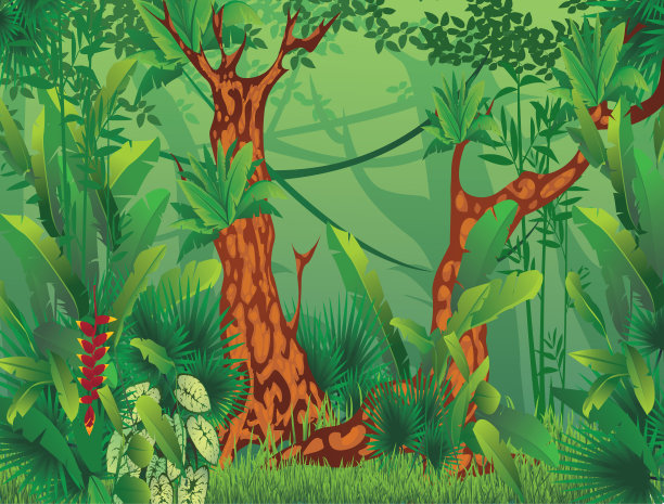 奇异的热带森林图片下载