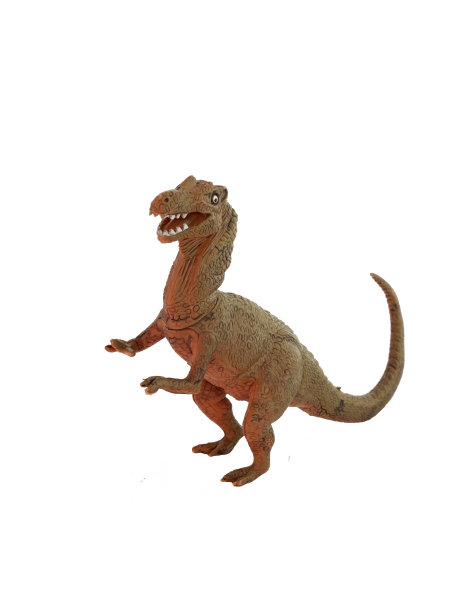 白色背景上的恐龙图片下载