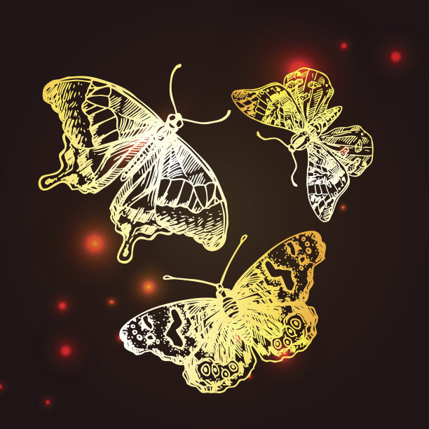 草图的蝴蝶图片下载