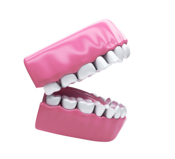 恒牙，成人齿列图片下载