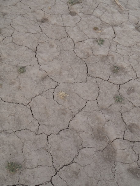 侵蚀土壤图片下载