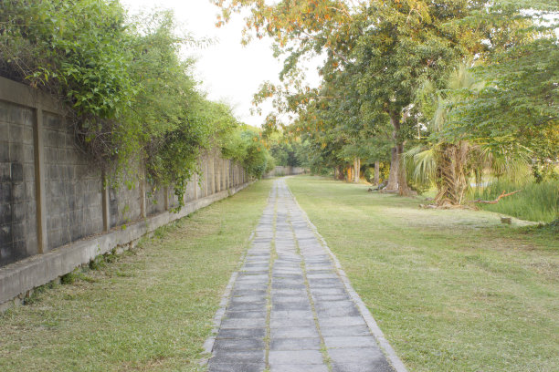 跑步和慢跑方式图片下载