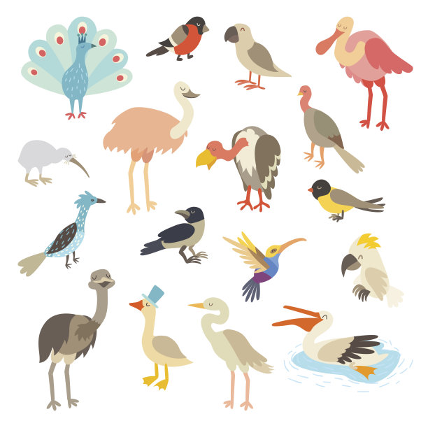 世界上的鸟类，一个大的向量插图图片下载