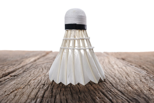 羽毛球图片下载