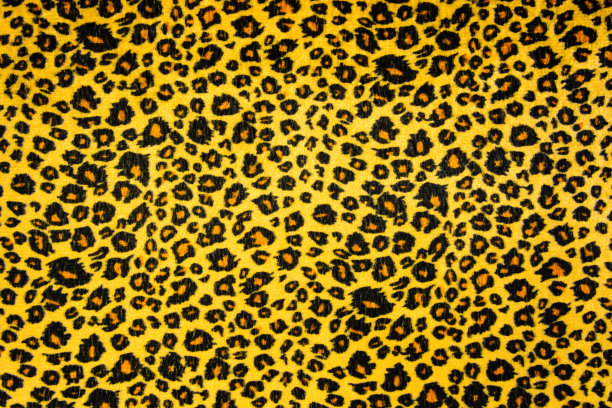 野生动物图案背景或纹理图片下载