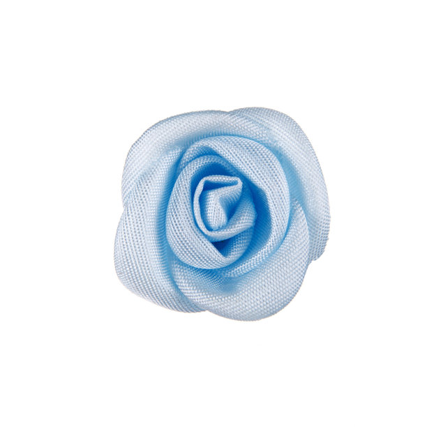 花孤立在白色上图片下载