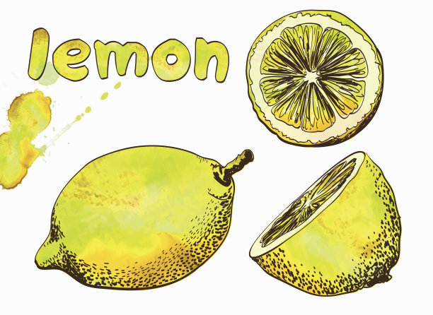 美丽的黄色的柠檬图片下载