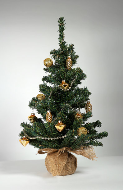 盛装迎接圣诞节和新年图片下载