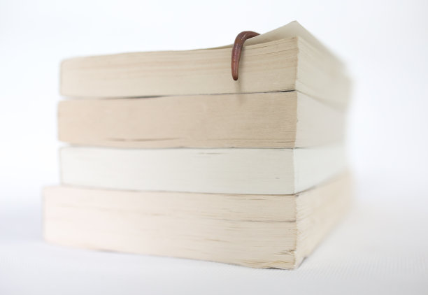 书呆子——Earthwrom图片下载