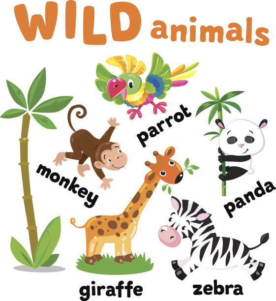 一组有趣的动物图片下载