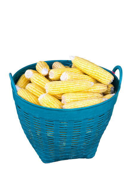 一篮子新鲜的甜玉米图片下载