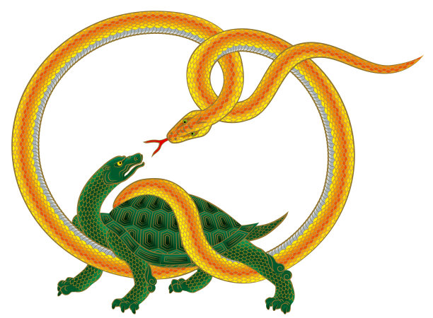 北方的黑龟蛇图片下载