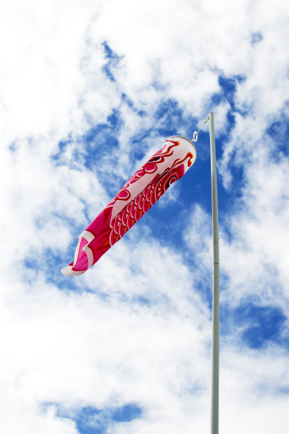 日本锦鲤风袜风吹图片下载