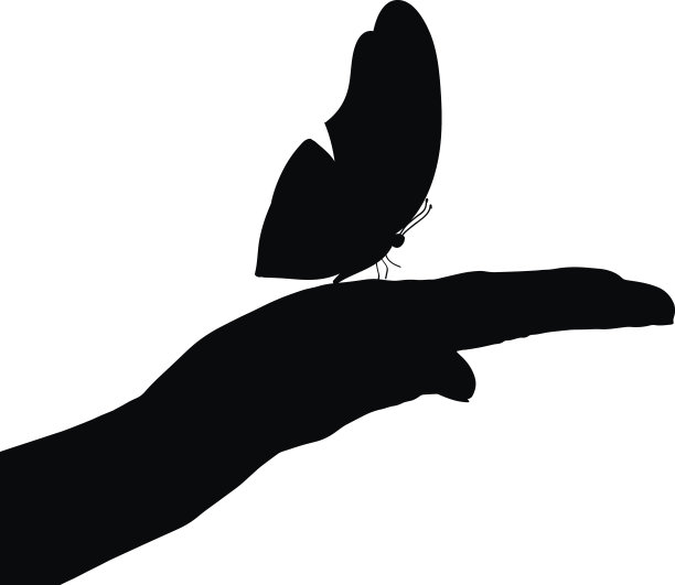 矢量插图的蝴蝶。图片下载