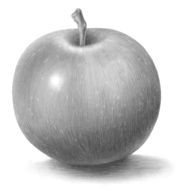 闪亮的Gravenstein苹果图片下载