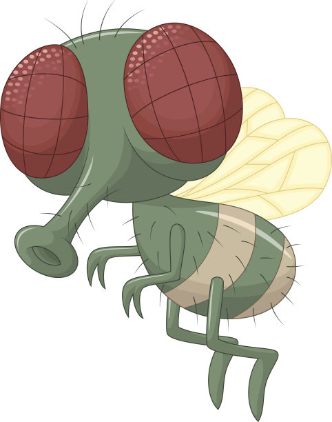 飞卡通图片下载