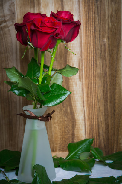 红色玫瑰在木制背景与文字空间图片下载