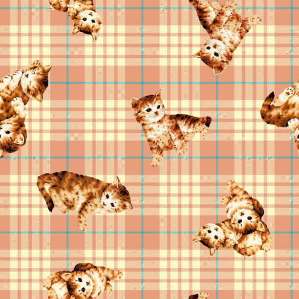 猫的模式图片下载