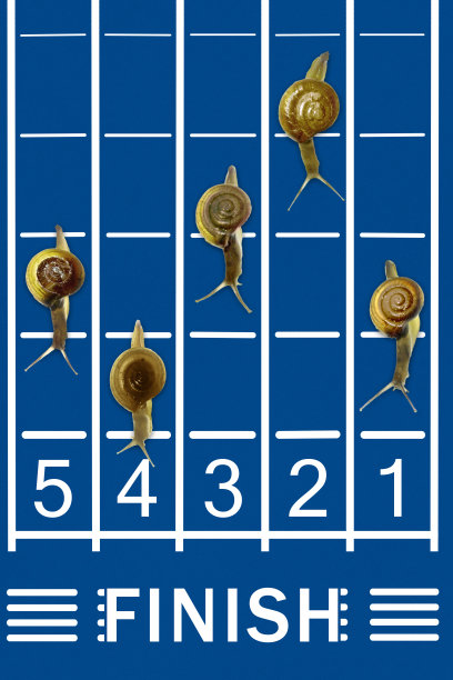 蜗牛在轨道上奔跑图片下载