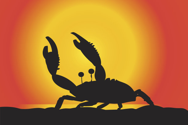 矢量剪影的螃蟹。图片下载