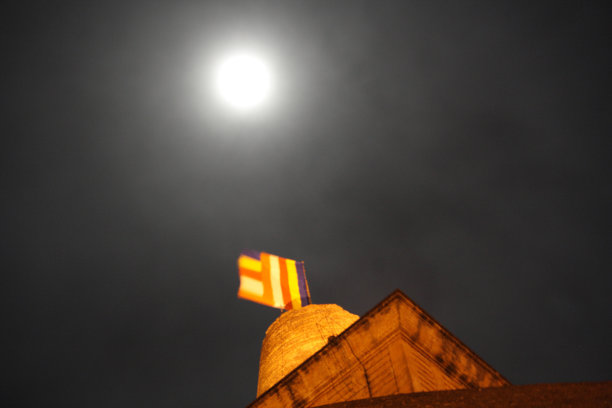 月光下的白塔图片下载