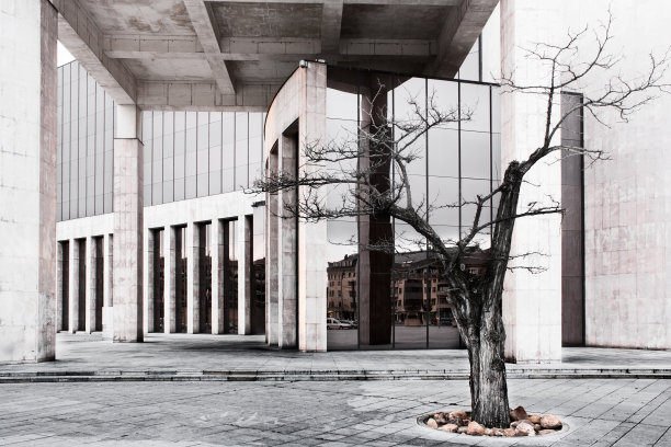 树木与现代立面图片下载