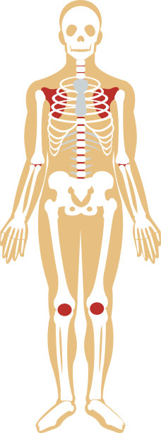骨架。矢量平面插图图片下载