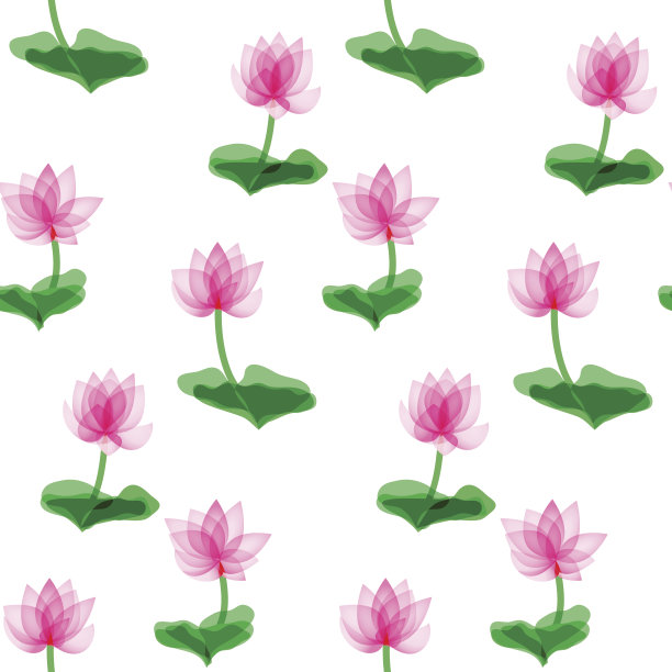 粉红色的莲花图片下载