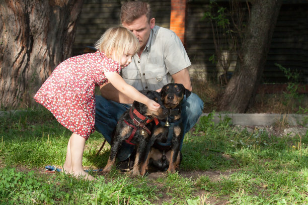 金发女孩与两只小猎犬交流，父亲长相图片下载